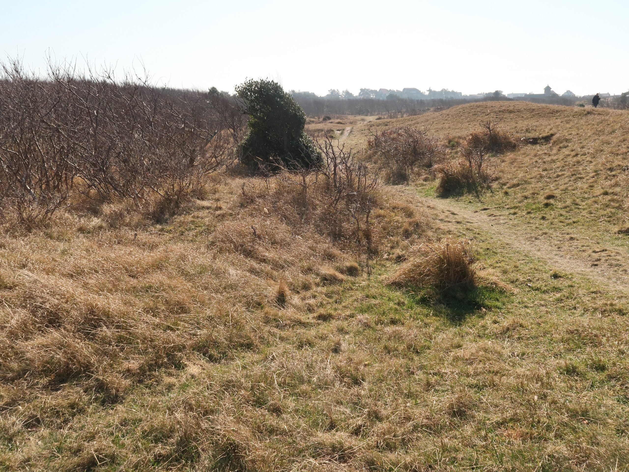 Heerlijk wandelen, een beeld.